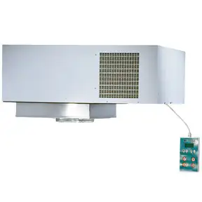RIVACOLD SFM008Z001 моноблок потолочный RIVACOLD SFM008Z001