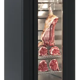 Шкаф для созревания мяса и сыра Полюс M700GN-1-G-MHC 9005